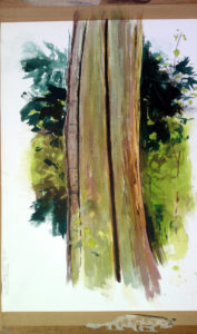 split trunk may 20011 ink