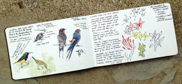 sketchbook-spread-1