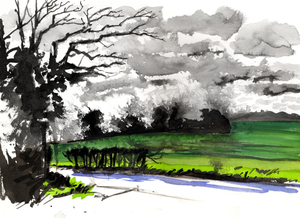 hertfordshire-field-evening