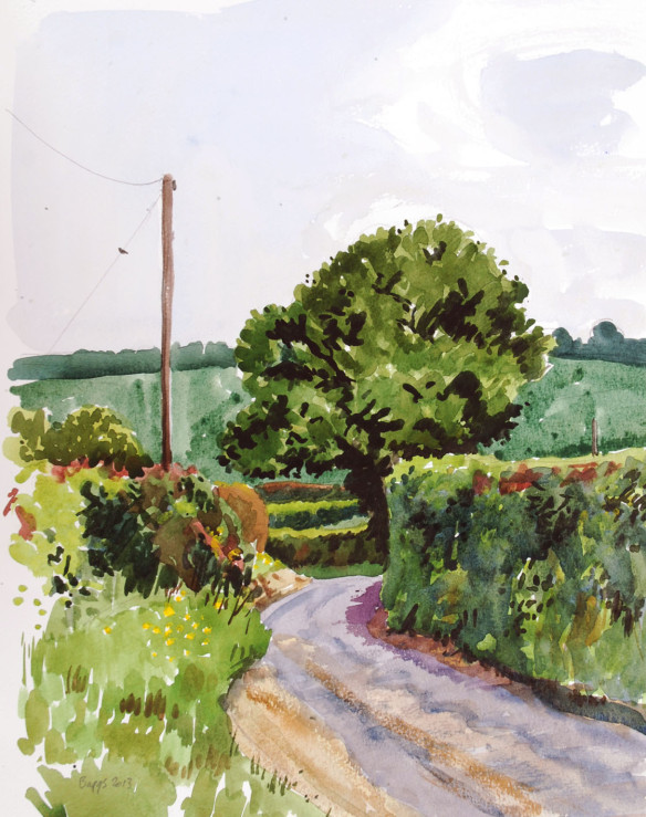 hertfordshire-hedges