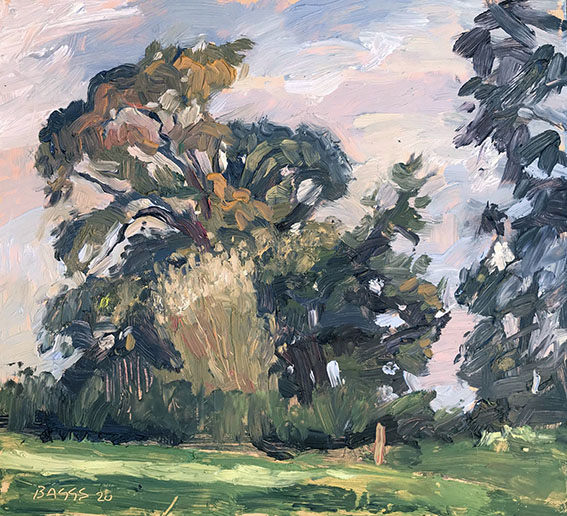 Sunlight across young willow, Marden Hill, oil on cardboard, 9.25x8.5"