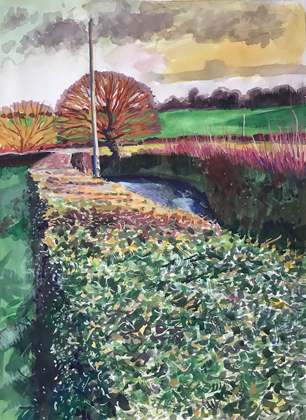 Clipped hedge, mixed media sketchbook drawing