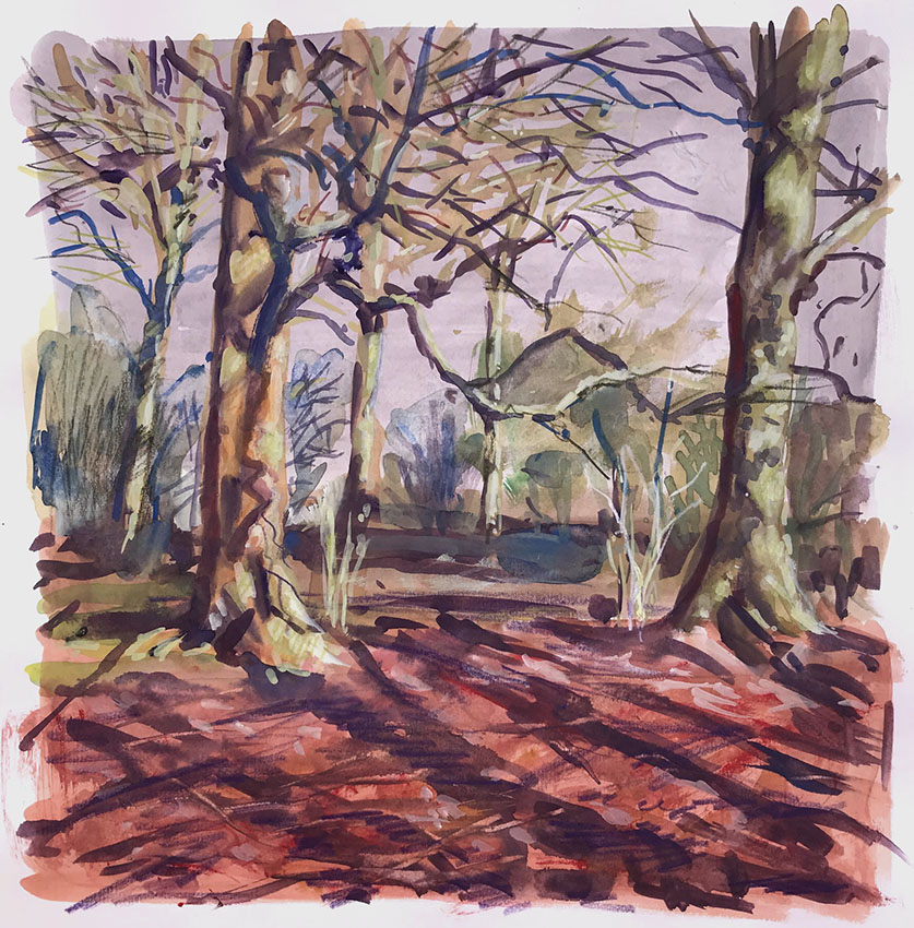 Colour in the beechwood 2, Mixed media sketchbook drawing