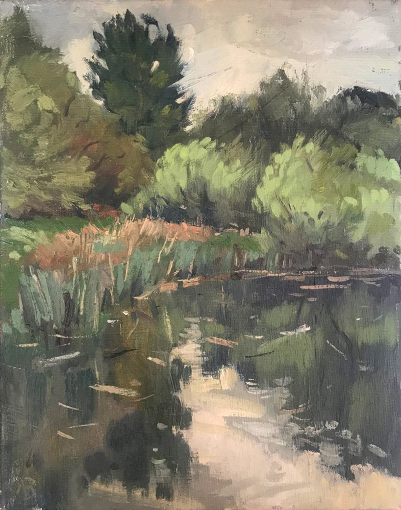 Cloud Over Pond 8, 3may 12 x 10 plein air oil painting