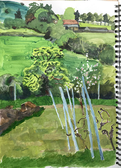 May in the Vineyard acrylic sketch