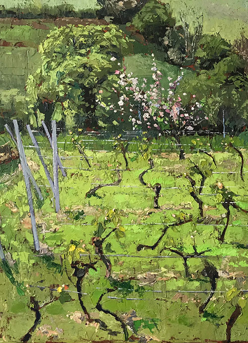 May in the Vineyard, oil, 30x20 2024